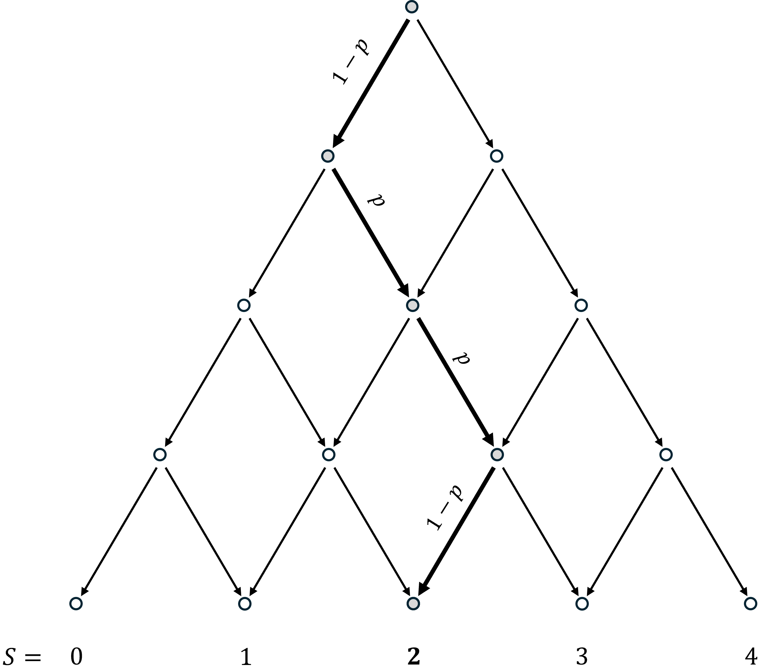Binomial Path 1.