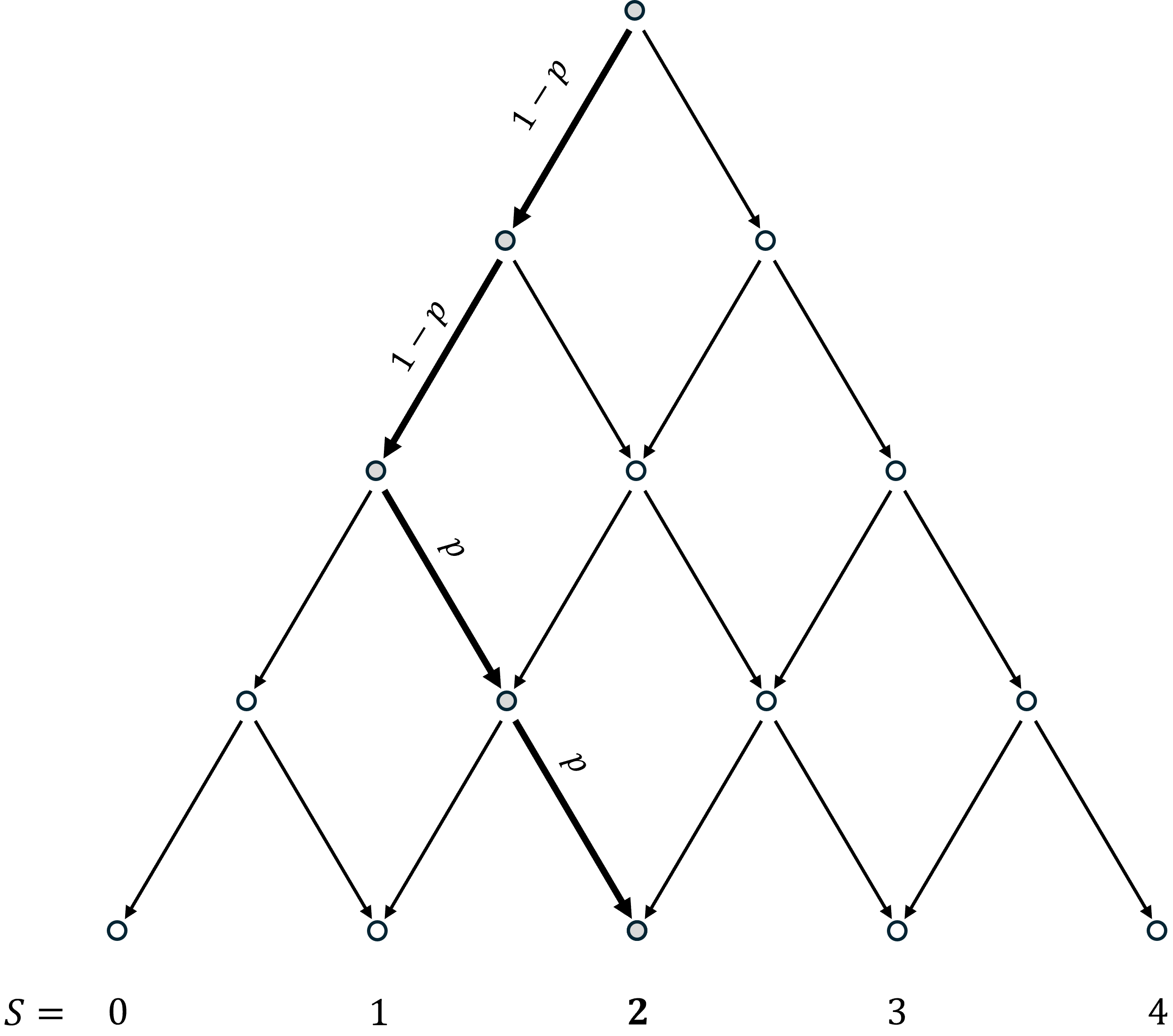 Binomial Path 2.