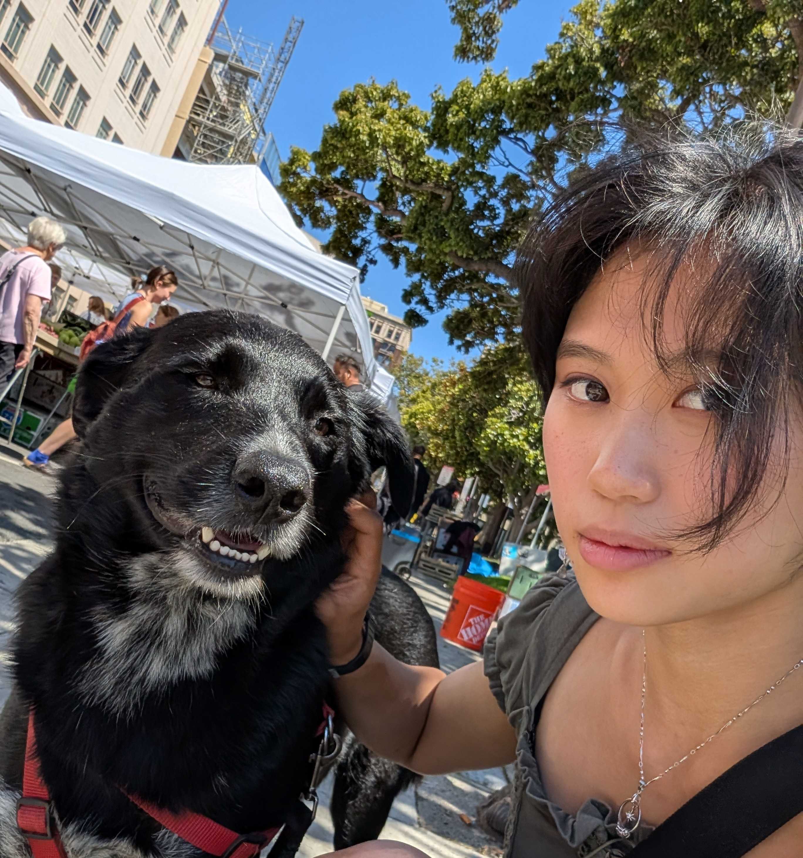 Tiffany Yu profile photo